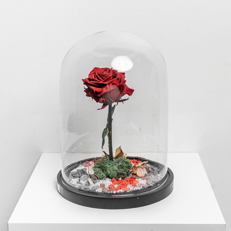 Fleur Ethernele Rode Groot de chez Lilit Fleurs - Livraison de fleurs Bruxelles Fleur Ethernele Rode Groot