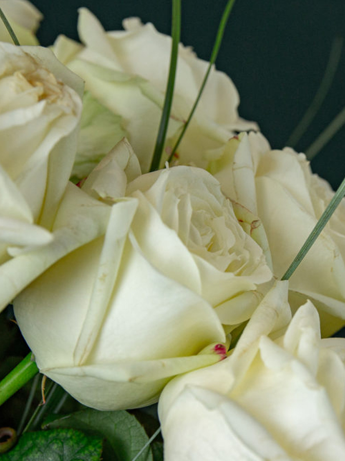 10 roses blanches - Avalanche 10 roses blanches - Avalanche