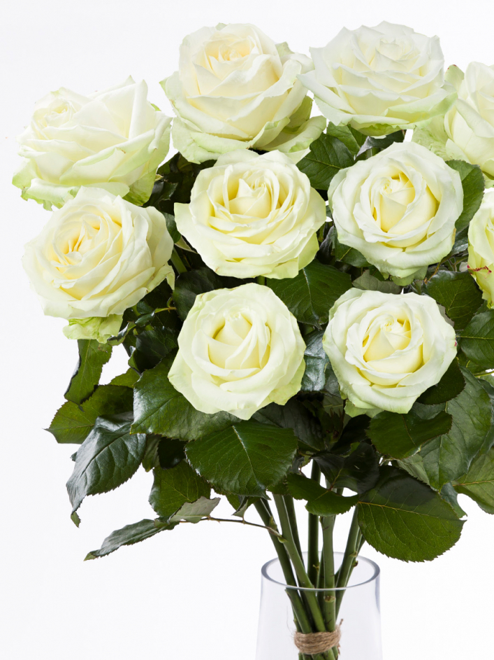 10 roses blanches - Avalanche 10 roses blanches - Avalanche