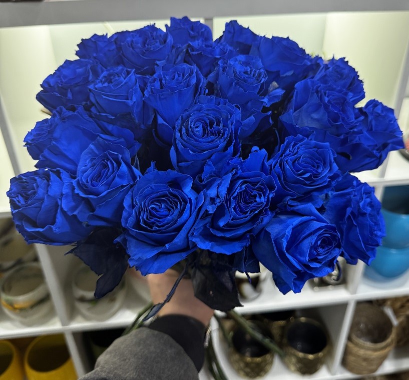 20 roses bleues-1