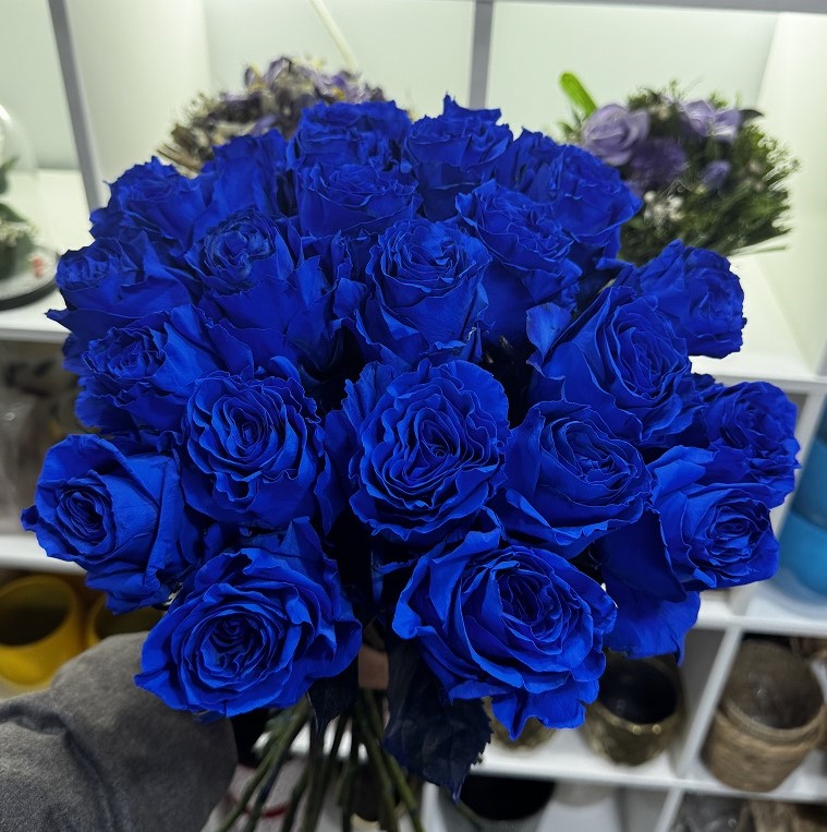 20 roses bleues