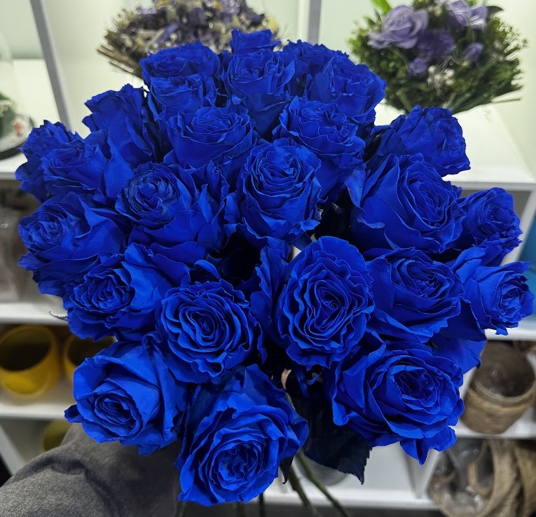 30 roses bleues-1