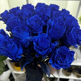 180 blue roses