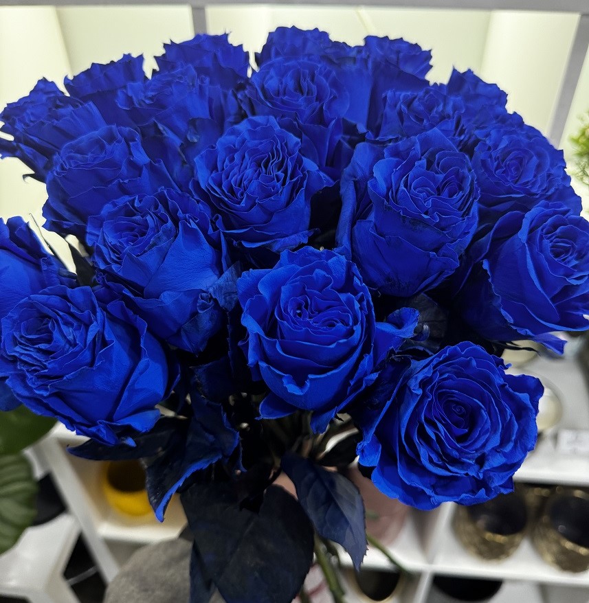 30 roses bleues