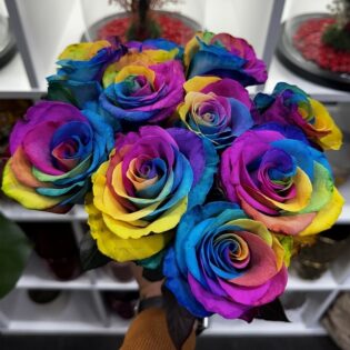 10 rainbow rose