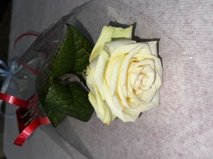 Livraison fleurs Rose blanche Rose blanche