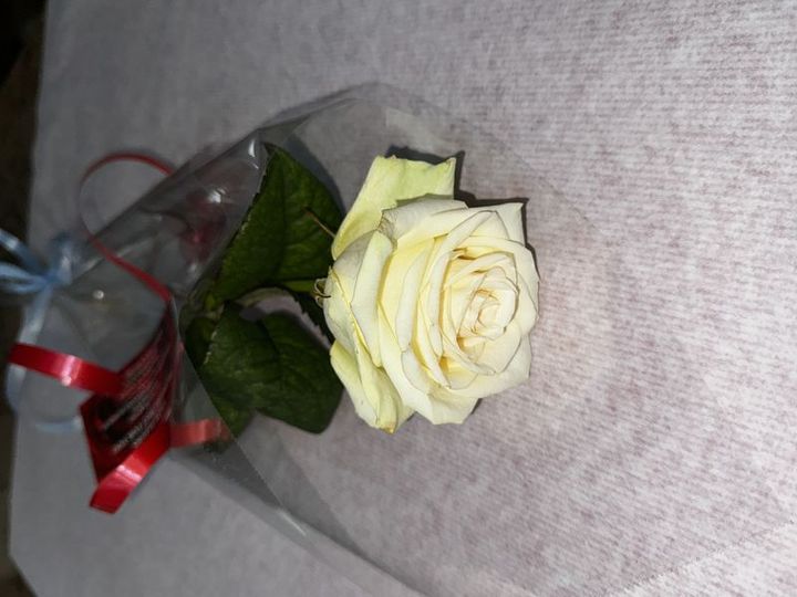 Livraison fleurs Rose blanche Rose blanche