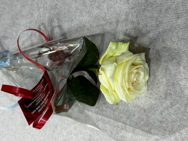 Livraison fleurs Rose blanche Rose blanche