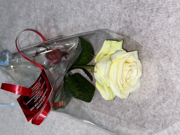 Livraison fleurs Rose blanche Rose blanche