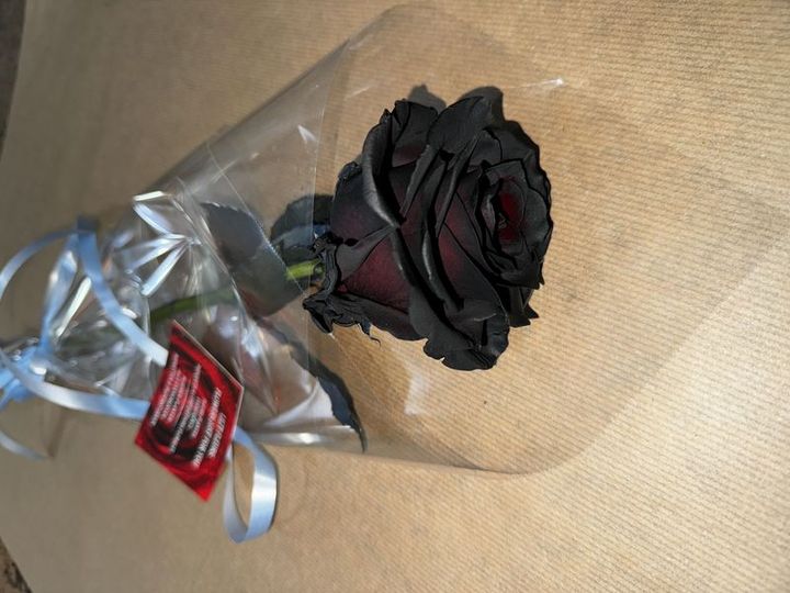 Livraison fleurs Rose noire Rose noire