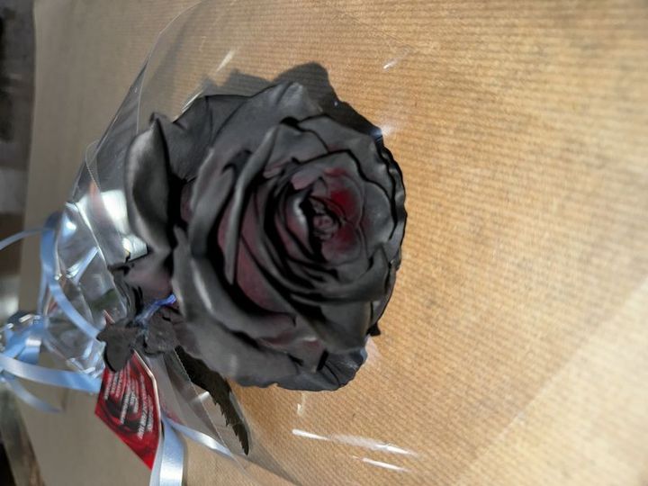 Livraison fleurs Rose noire Rose noire