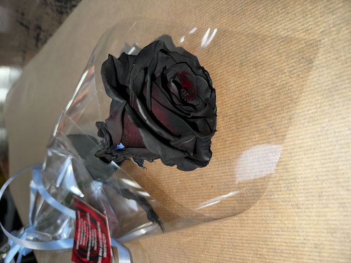 Livraison fleurs Rose noire Rose noire