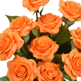 10 orange roses