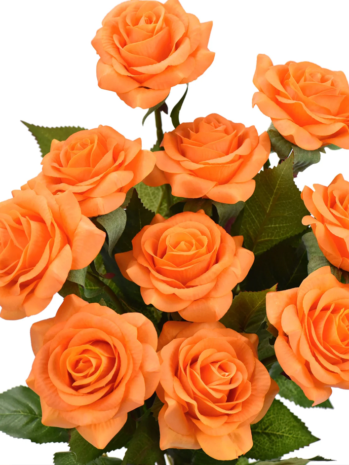 10-roses-oranges-3-1.jpg