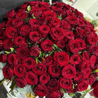 100 red roses