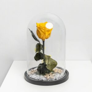 Flower Rode Gel