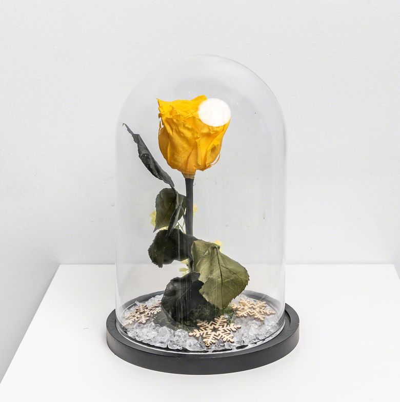 Fleur Rode Gel de chez Lilit Fleurs - Livraison de fleurs Bruxelles