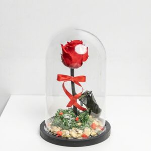 Eternal Rose Flower