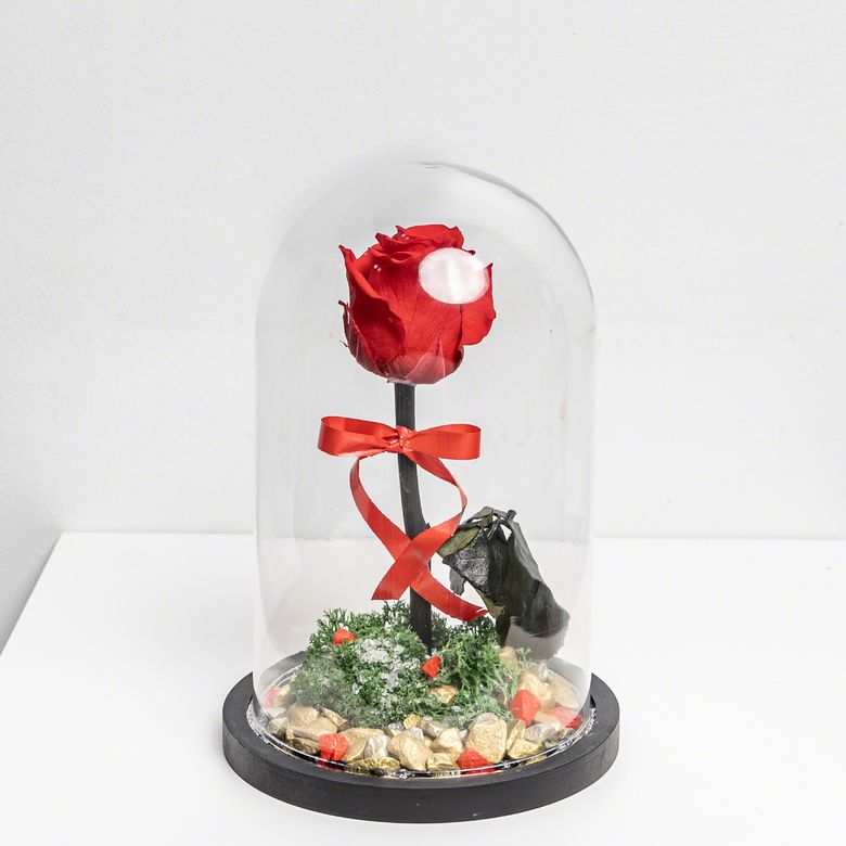 Fleur Rose Ethernelle de chez Lilit Fleurs - Livraison de fleurs Bruxelles