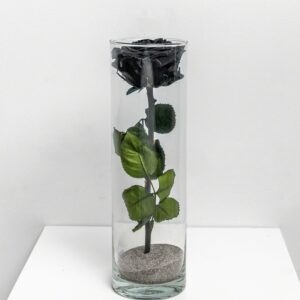 Black Eternal Rose L