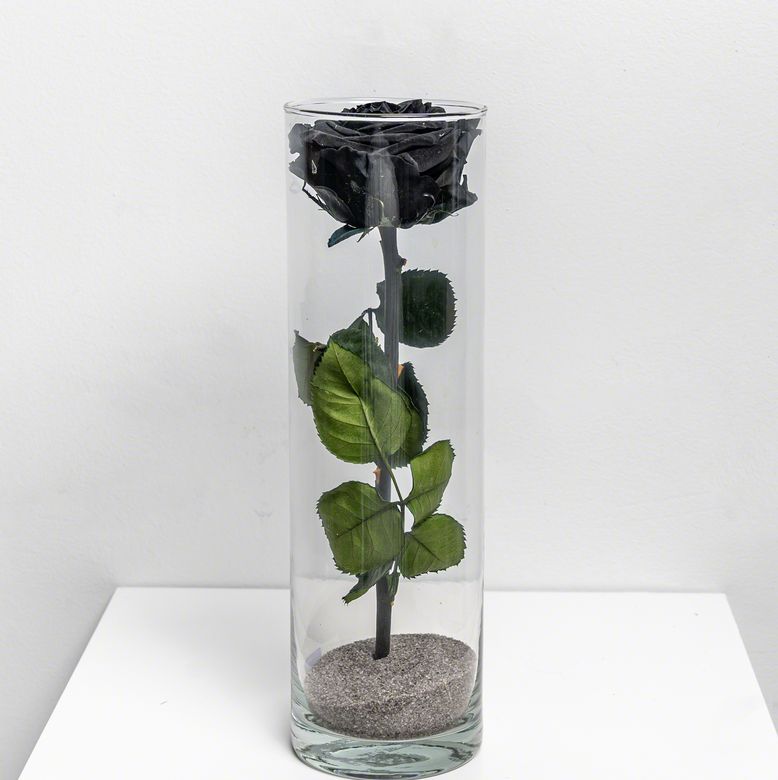Fleur Single Groot Zwarte de chez Lilit Fleurs - Livraison de fleurs Bruxelles