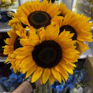 The bouquet of Sunflowers: Soléa